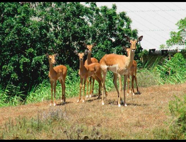 LAND FOR SALE IN NAUTILUS BAY